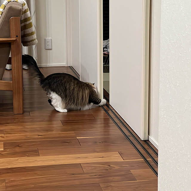 a-house2019さんの実例写真