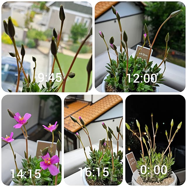 totoroさんの部屋