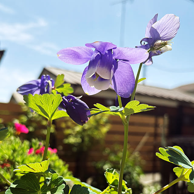 KYONさんの実例写真