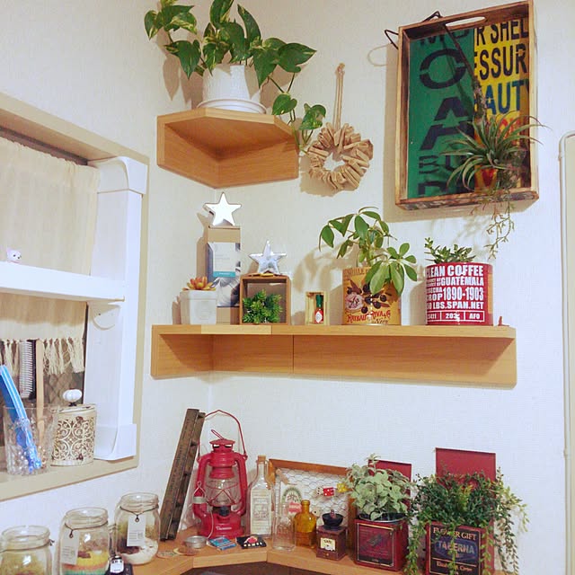 haruna.n2.9さんの実例写真