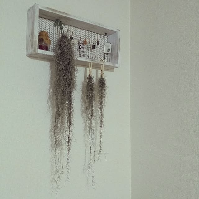 cozylifeさんの実例写真