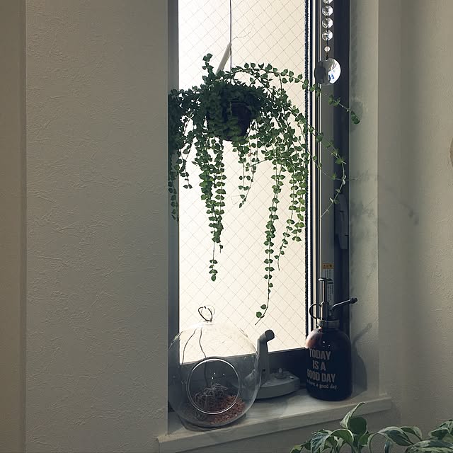 junさんの実例写真