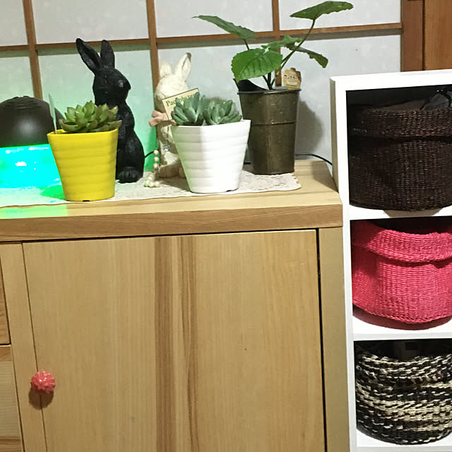 実例写真