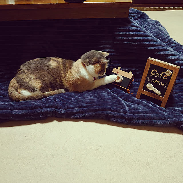 fukuさんの実例写真