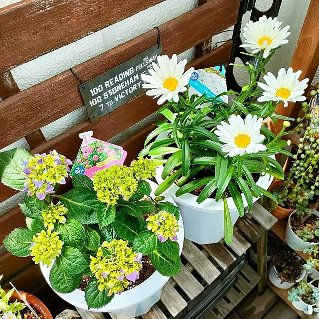 VERANDARJUNさんの実例写真