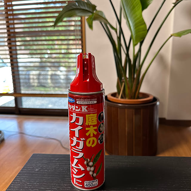 mizuyoさんの実例写真