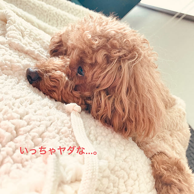 MOMOMAMAさんの部屋