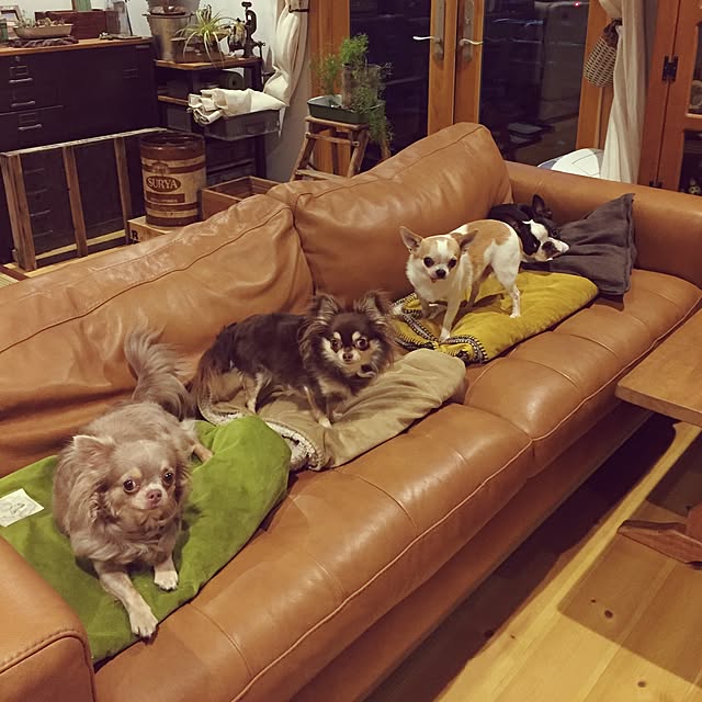 yumiさんの実例写真