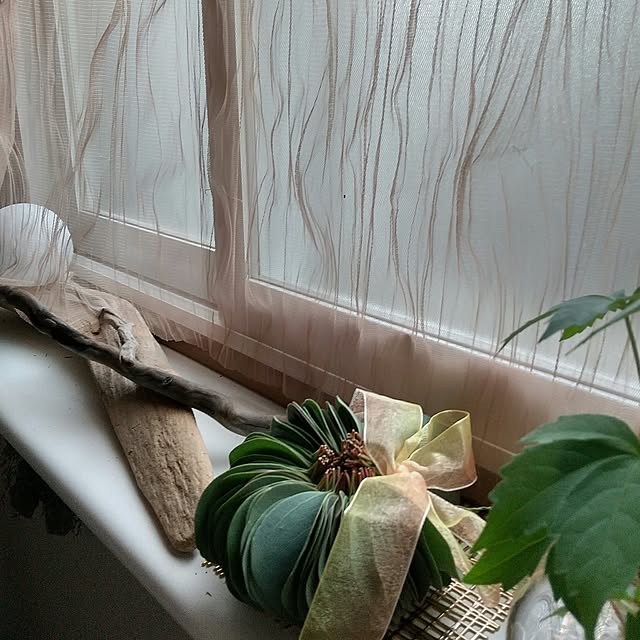 koyutan-mjmさんの部屋