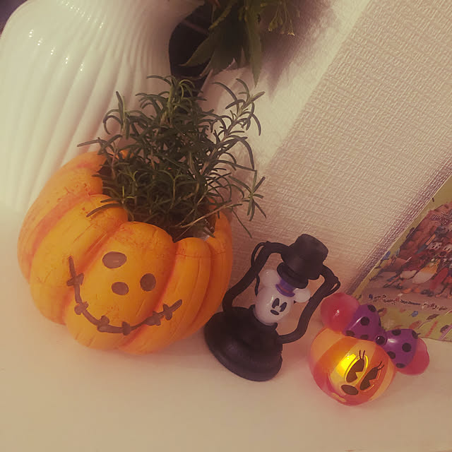 yu__riさんの実例写真