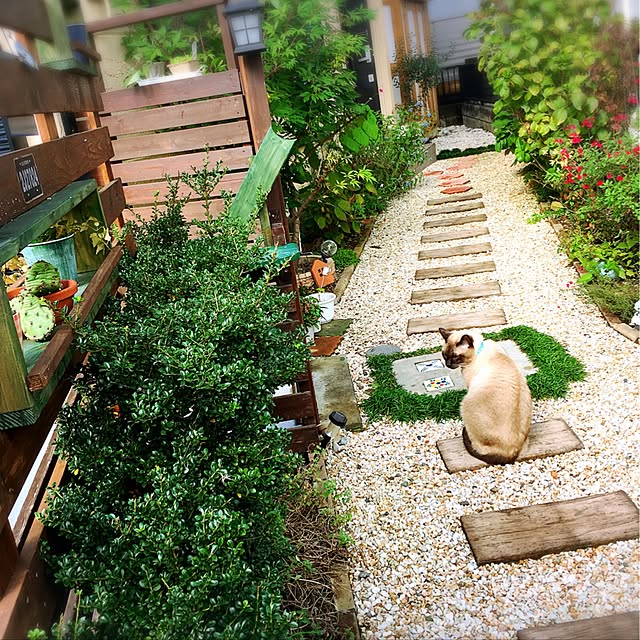 mintcatさんの実例写真