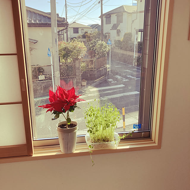 実例写真