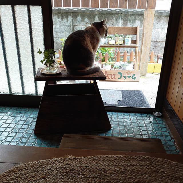 fukuさんの実例写真