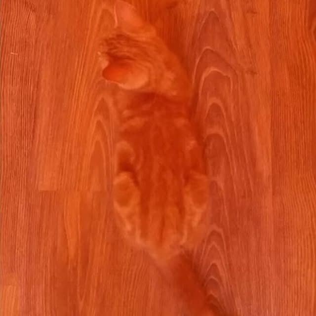 Tackunさんの実例写真