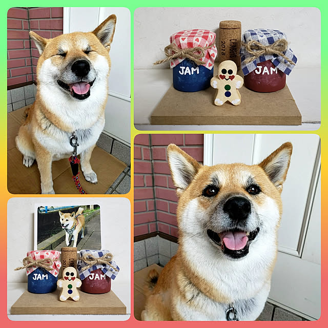 nanaさんの実例写真
