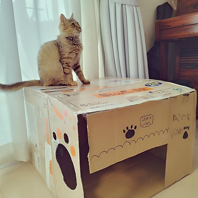 chacoさんの実例写真