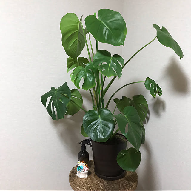 sourae3130さんの実例写真