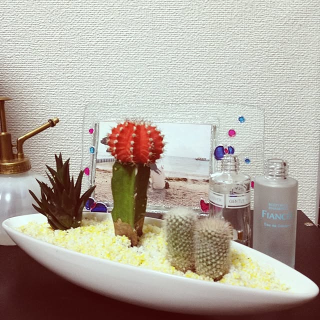 実例写真