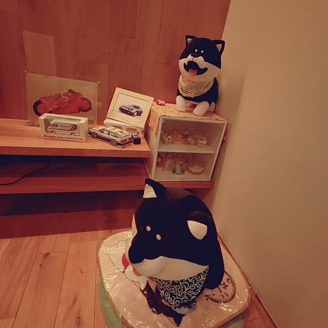 sakuraさんの部屋