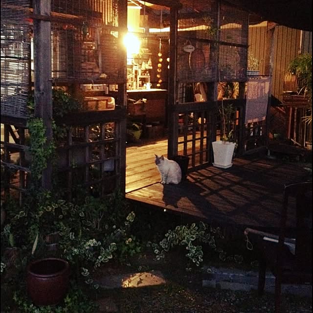 salyuさんの実例写真