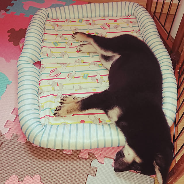 xxxakyxxxさんの実例写真