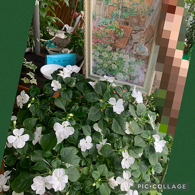 Aqettyさんの実例写真