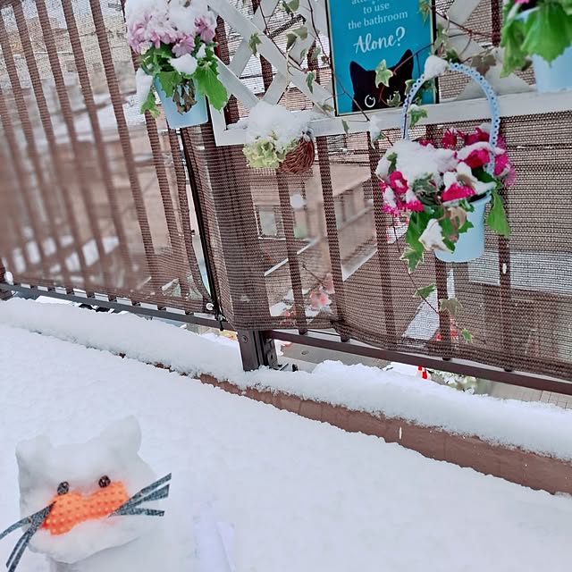 moko.7525himeさんの部屋