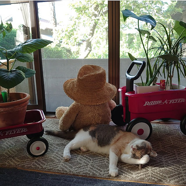 fukuさんの実例写真