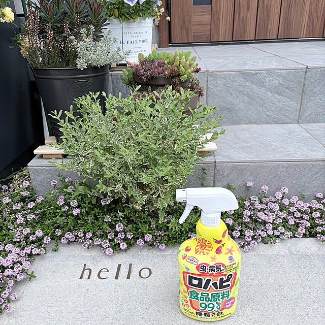 chipsさんの実例写真