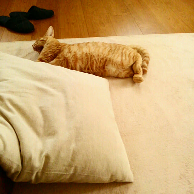 mayutan.さんの実例写真