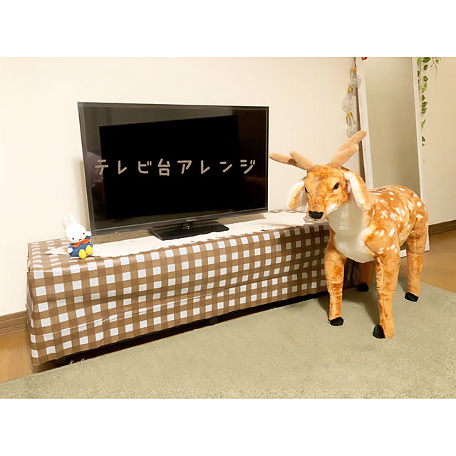 erityさんの実例写真