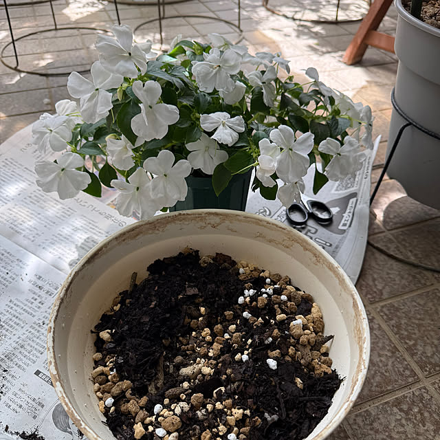 Aqettyさんの実例写真