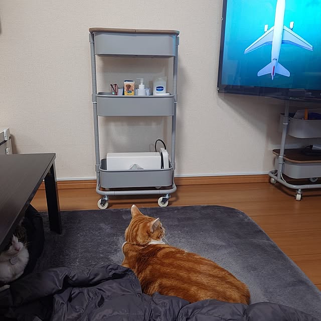 noguriさんの実例写真