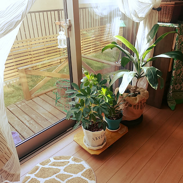 mofukoさんの実例写真