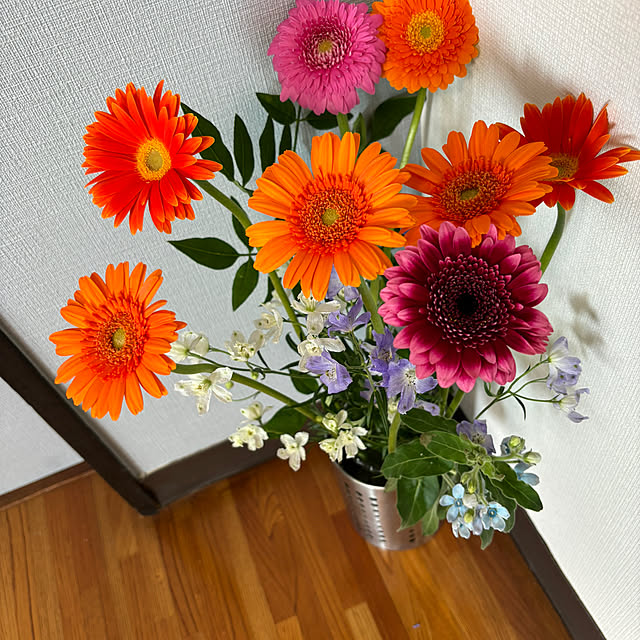 syutmmさんの部屋