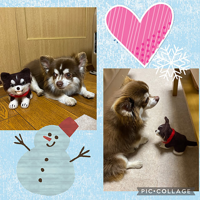chIoeさんの実例写真