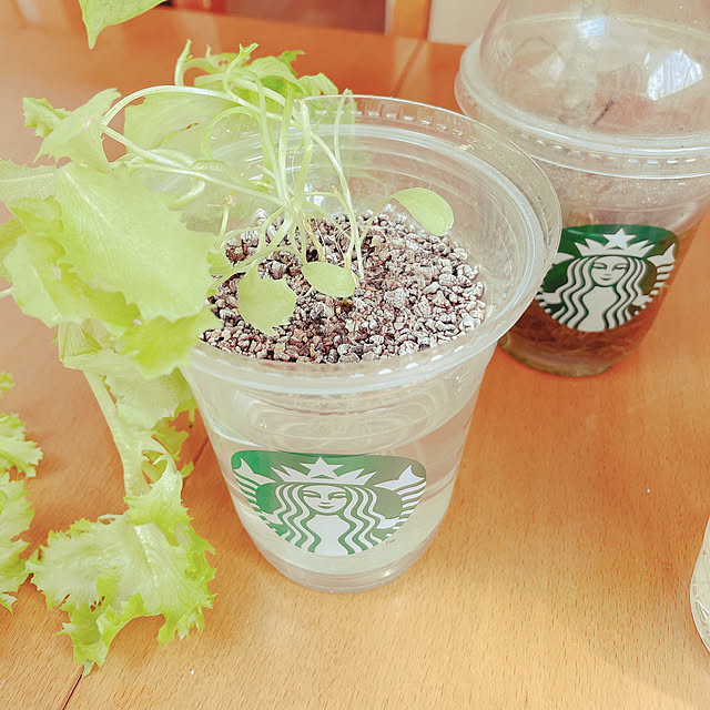 nahonさんの部屋