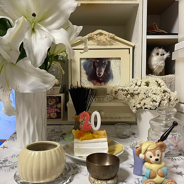 Luckyさんの実例写真