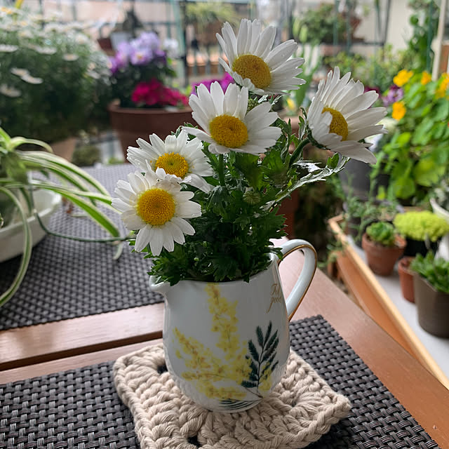 Aqettyさんの部屋