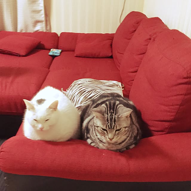 hiro_mashさんの実例写真