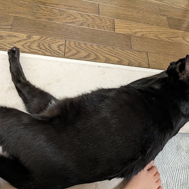 asaさんの実例写真