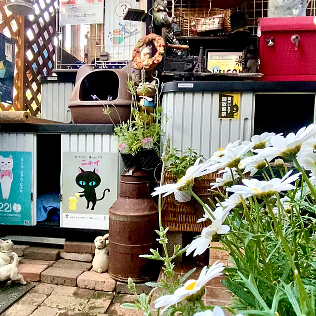 butachanさんの実例写真