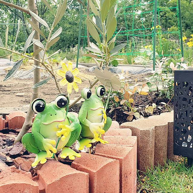 実例写真