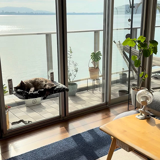 amさんの実例写真