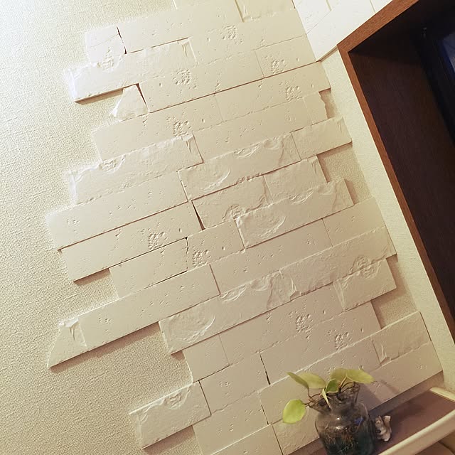 55mashuさんの実例写真