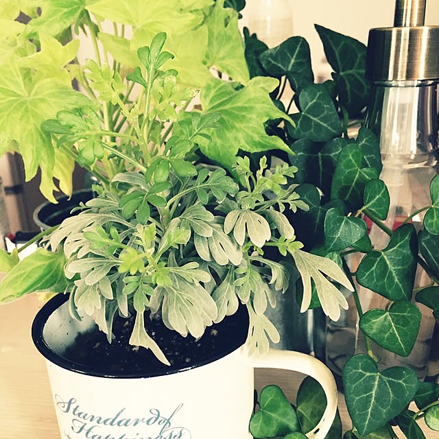 chinさんの実例写真