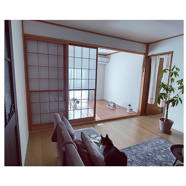 +CHIHARU+さんの実例写真