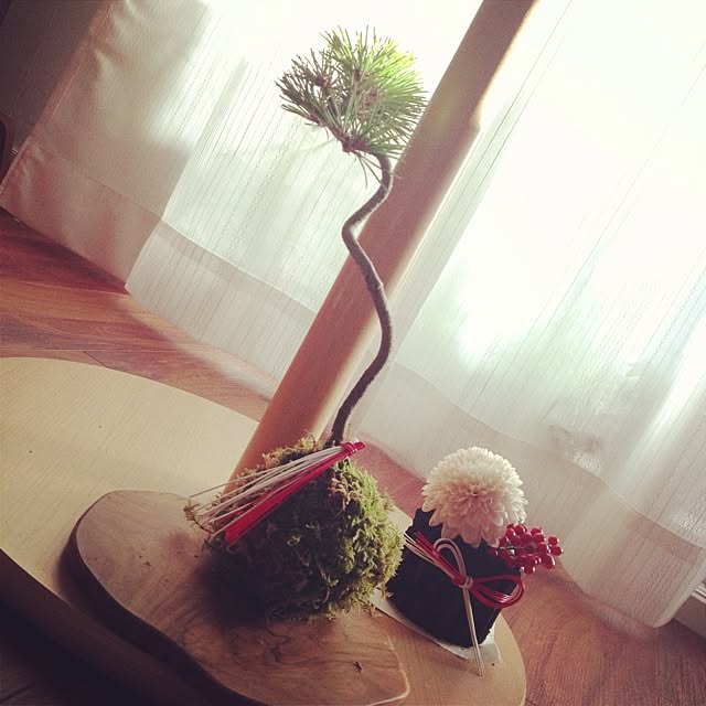 beaniebabiesさんの実例写真