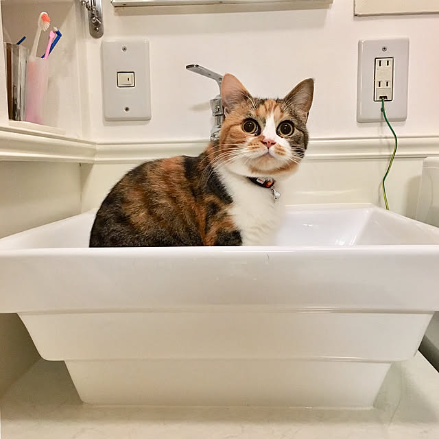 nerogaraginさんの実例写真