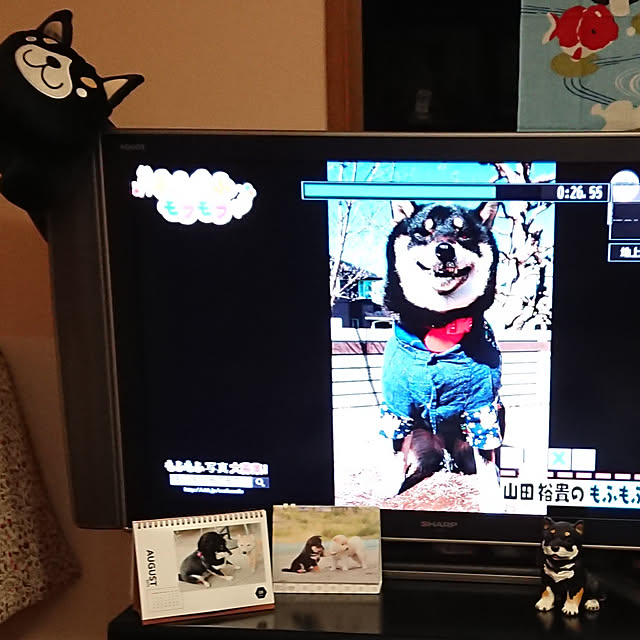 tsutawarimasuさんの実例写真